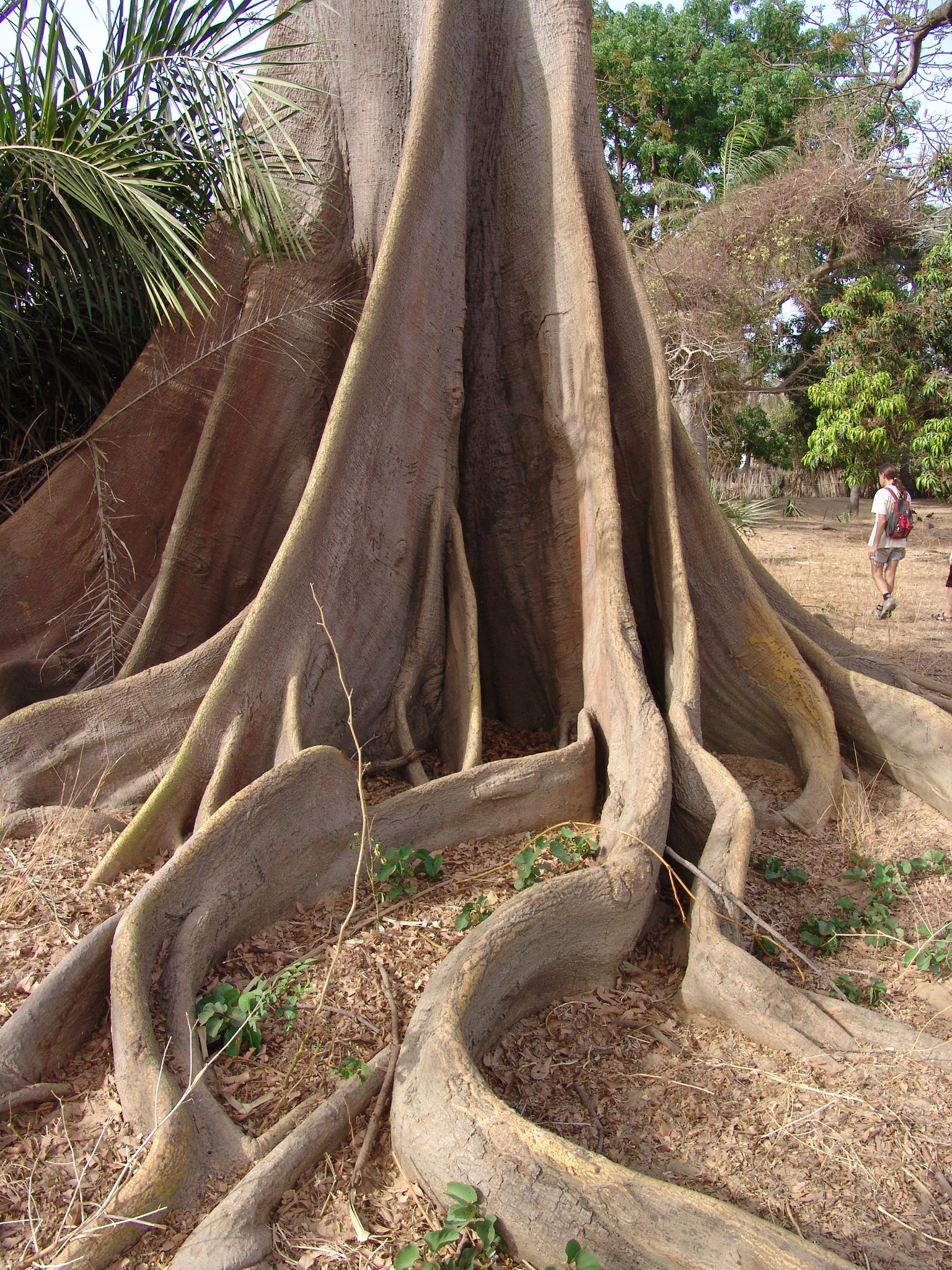 Mme Ruth's oder so….