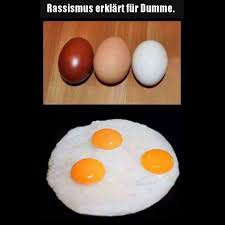 Rassismus erklärt für Dumme